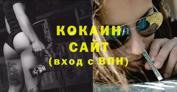 шишки Абдулино