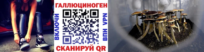 Галлюциногенные грибы Cubensis  наркота  Руза 